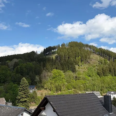 Skyblick Doppelzimmer Mit Bad In Willingen (Upland)
